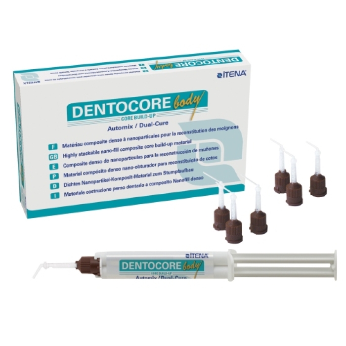 COMPOSITE NANOPARTICULE DENTOCORE BODY 