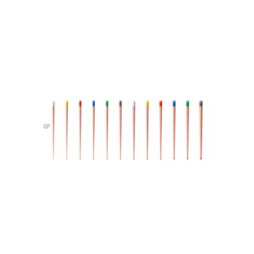 [21014] CONE GUTTA PERCHA ROGIN 02.20